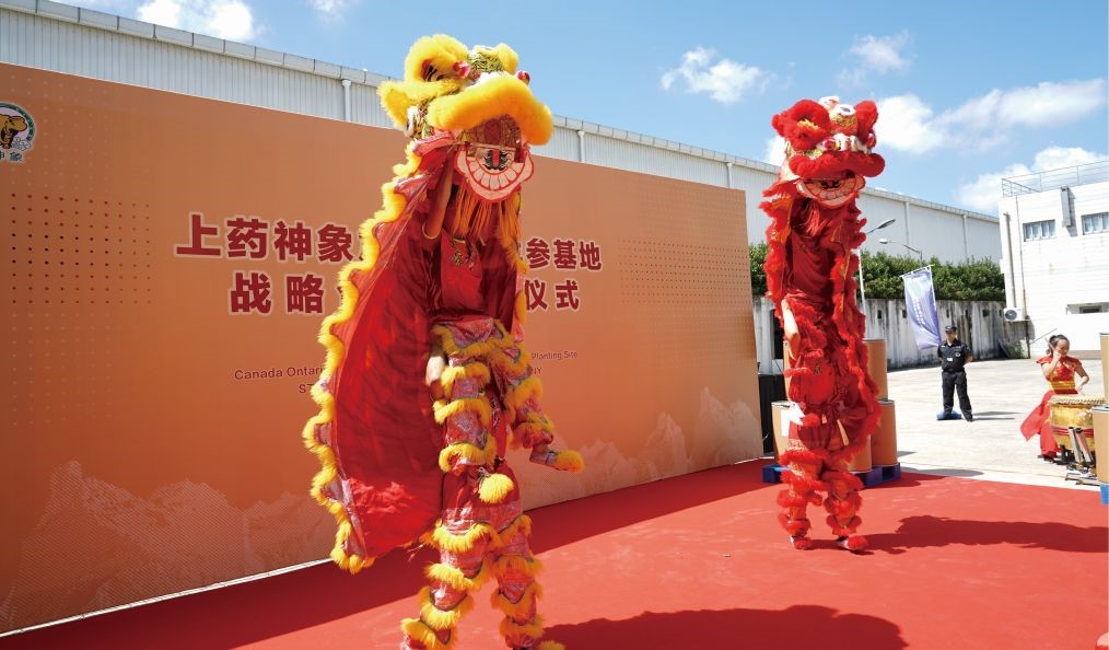 布局海外，上药神象加拿大西洋参基地建立